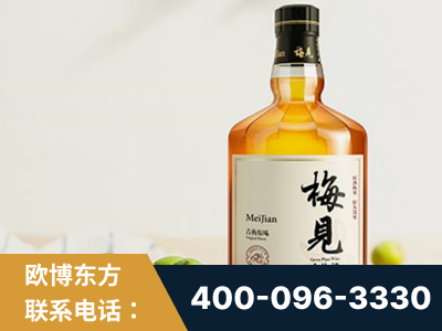 柳州-梅见青梅酒