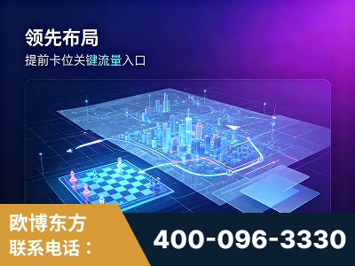 柳州-领先布局：于2024年初开启GEO业务的公司